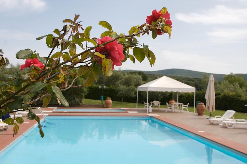 Agriturismo Collepina Amelia Extérieur photo