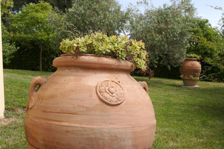 Agriturismo Collepina Amelia Extérieur photo