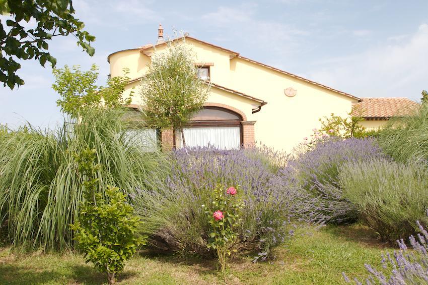 Agriturismo Collepina Amelia Extérieur photo