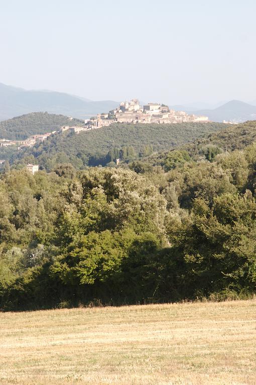 Agriturismo Collepina Amelia Extérieur photo